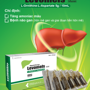 Thuốc đường tiêu hoá Levomels Infusion